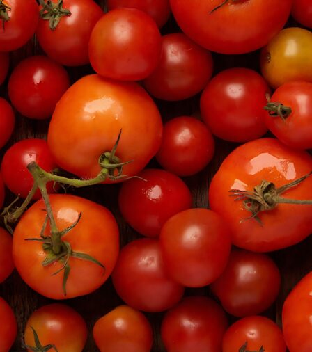 _ LOCAL COMMUNITY IMAGE Celine & Lolo Boutique Hotel Nairobi